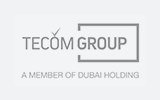 TECOM GROUP